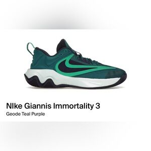 Nike Giannis Immortality 3 - Teal and Purple Athletic Shoes
